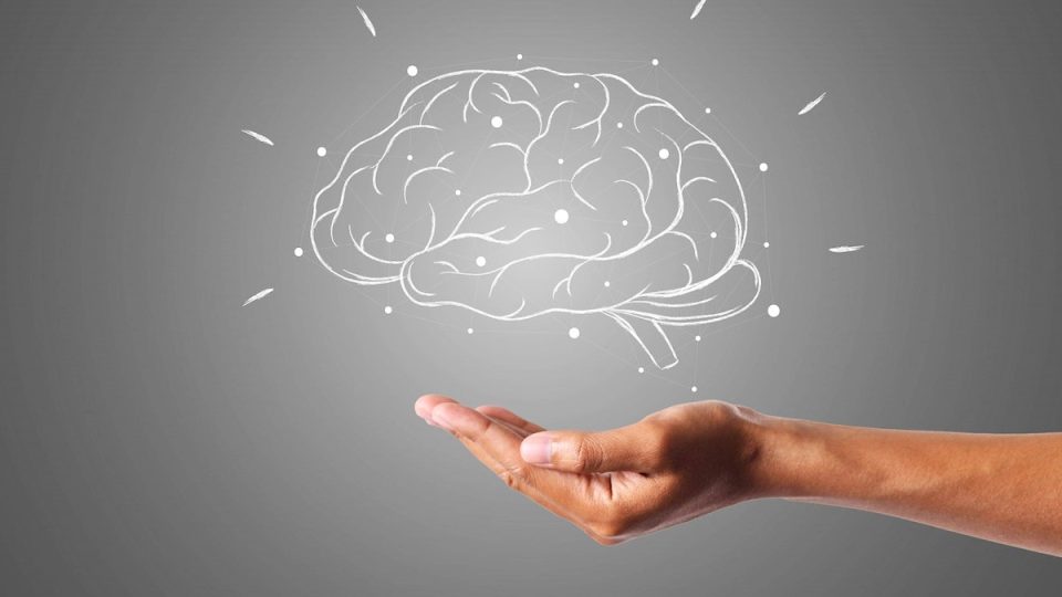 paleo diet for brain health