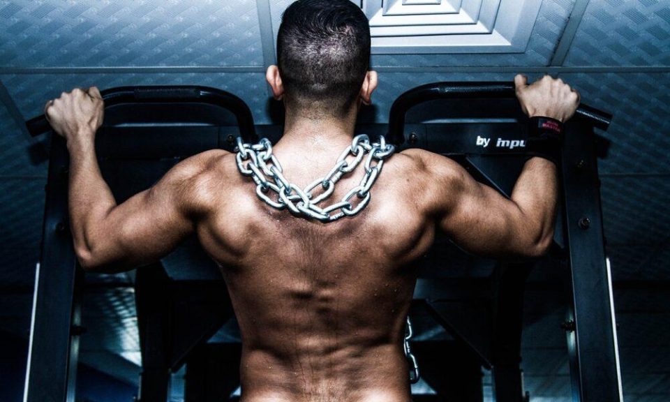 Build Muscle