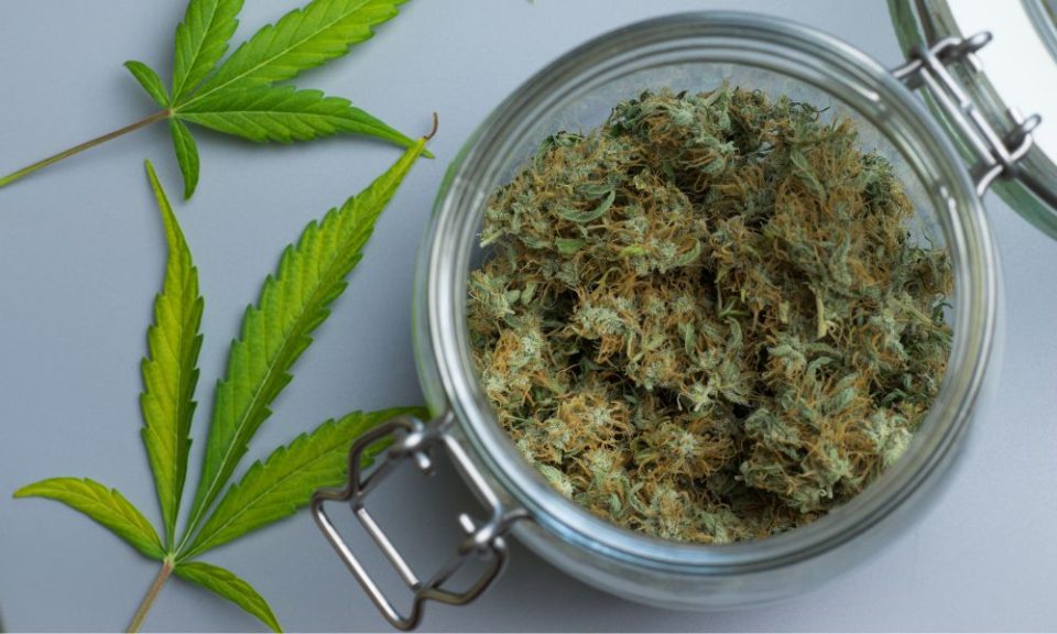 Cannabis Store