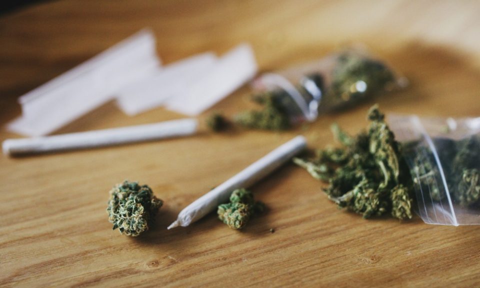 Discover Premium Cannabis Solutions at Hemp Connect