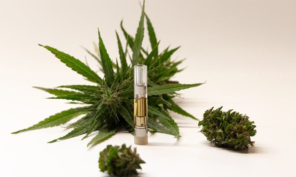 Rocky-Mountain-Cannabis
